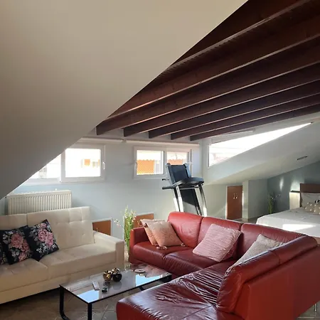 Attic Family
