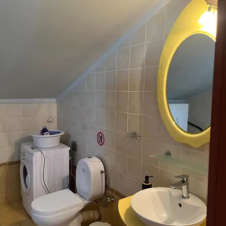 Attic Family * Paralia Dionysiou